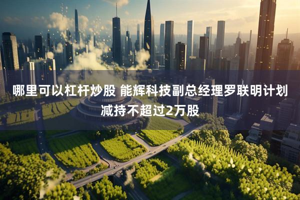 哪里可以杠杆炒股 能辉科技副总经理罗联明计划减持不超过2万股