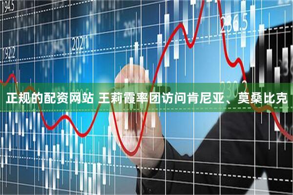 正规的配资网站 王莉霞率团访问肯尼亚、莫桑比克